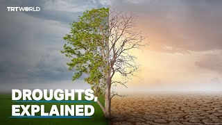 What are droughts [upl. by Wie]