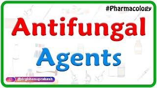 Antifungal agents Pharmacology  Amphotericin B Usmle  Fmge Neet pg [upl. by Florie139]