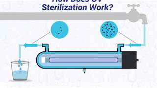 How Does UV Sterilization Work [upl. by Aicnom]