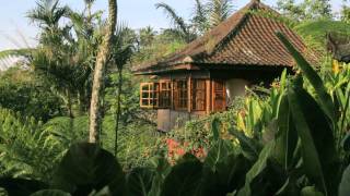 Sarinbuana Eco Lodge [upl. by Ytisahc]