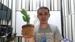 Dancing Cactus Plush Toy Unboxing and Review [upl. by Adnawad]