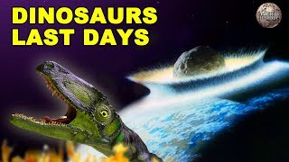 A Breakdown of the Asteroid That Wiped Out the Dinosaurs [upl. by Atiuqet]