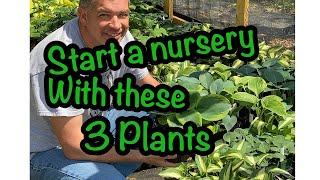 Start your nursery with these three plants 🌱🌱 Backyard Growing Starting a beginner nursery [upl. by Petula]