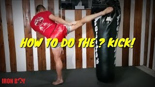 HOW TO DO THE QUESTION MARK KICK [upl. by Debbra]