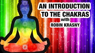 Beginners Guide to Chakras  Everything You Need to Know About Chakras [upl. by Lindly]