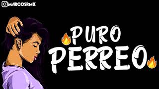 PURO PERREO 9🔥 BRASILERO 2019 MARCOS RMX [upl. by Jaimie718]