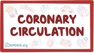 Coronary circulation  an Osmosis Preview [upl. by Bonaparte]