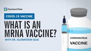 What is an mRNA Vaccine [upl. by Aiasi]