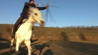 Hungarian Master fires passion for horseback archery [upl. by Ennairod172]