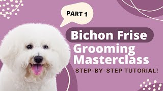 How to Groom a Bichon Frise  Bichon Frise Grooming Tutorial Part 1 [upl. by Nnayd]