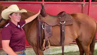 Good Horse How to Properly Fit a Western Saddle [upl. by Reeva535]