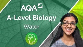 AQA A Level Biology Water [upl. by Madelle]