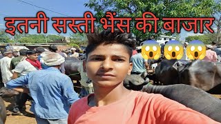 नारायनपुर पशु बाजार 11082022 NARAYANPUR PASHU BAJAR 🔥🔥nrayanpurpashubajar [upl. by Hardwick106]