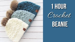 1 Hour Crochet Beanie Easy Pattern [upl. by Eada]