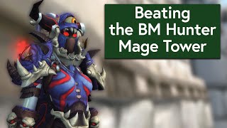 BM Hunter Mage Tower Tips and Kill  Timewalking Mage Tower Guide [upl. by Ev]