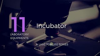 Incubator [upl. by Nerred]