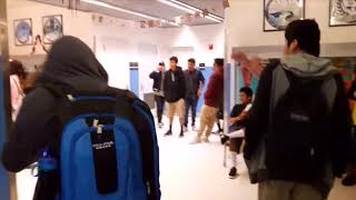 PURGE PRANK ON STUDENTS their reaction is hilarious [upl. by Aimahc193]