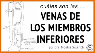 Las venas de los miembros inferiores [upl. by Rebbecca]