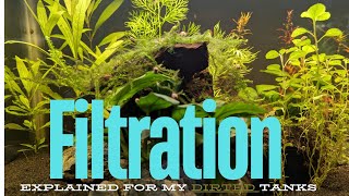 Filtration I use in MY dirted tanks [upl. by Arnon]