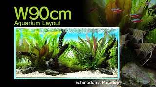 ADAview Echinodorus Paradise エキノドルス・パラダイス W90cm Aquarium Layout【ENJP Sub】 [upl. by Ayokal]