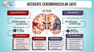 Cerebral Vascular Anatomy And Imaging [upl. by Enelrad]