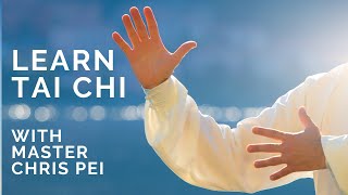 Tai Chi for Beginners  Best Instructional Video for Learning Tai Chi [upl. by Leeann]