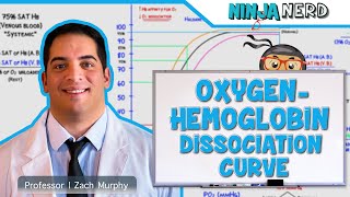 Respiratory  OxygenHemoglobin Dissociation Curve [upl. by Avra]