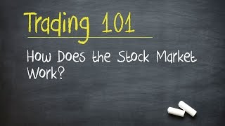 Trading 101 How Does the Stock Market Work [upl. by Nosliw]