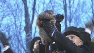 Groundhog Day 2020 Punxsutawney Phil doesnt see his shadow [upl. by Vial]