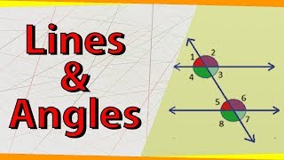 Lines and Angles  Geometry  Math  Letstute [upl. by Clova]