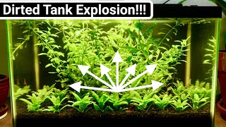 Nano Dirted Tank  60 Day Planted Tank Explosion [upl. by Bibbie]