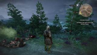 Werewolf Wild at Heart All Three Options Witcher 3  Geralt Quest  Boss Fight [upl. by Voletta]