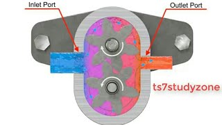 External Gear Pump Working Animation With Detail Explanation  TS7STUDYZONE [upl. by Eiveneg511]