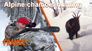 Alpine Chamois Hunting in France  Chasse au Chamois en France  2021 [upl. by Junna]