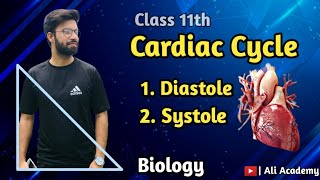 Cardiac Cycle  Diastole Atrial And Ventricles Systole  Class 11 Biology [upl. by Huesman]