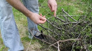 How to bundle branches with string [upl. by Maire]