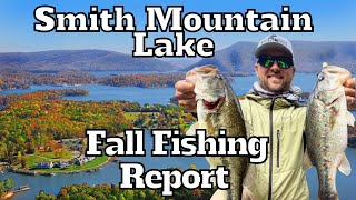 Smith Mountain Lake September Fishing Report [upl. by Veedis337]