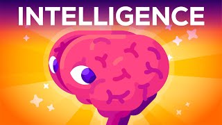 The 9 Types Of Intelligence  Whats Yours [upl. by Kittie]