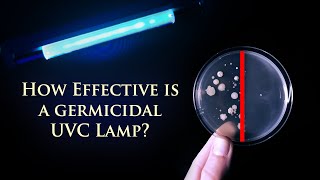 UVC Light or Ozone as a Disinfectant [upl. by Otsirc622]