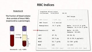 How to Interpret RBC Indices eg hemoglobin vs hematocrit MCV RDW [upl. by Anitnatsnok]