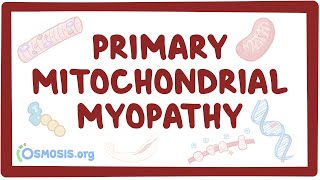 Primary mitochondrial myopathy  causes symptoms diagnosis treatment pathology [upl. by Nayhr]