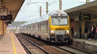 Passenger and Freight Trains in Brussels Antwerp amp Liège Belgium [upl. by Ruffi625]