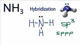 NH3 Hybridization Hybrid Orbitals for NH3 ammonia [upl. by Icak927]