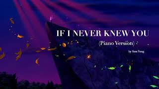 If I Never Knew You Piano Version  Pocahontas  by Sam Yung [upl. by Eirelam928]