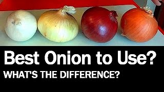 Onions  Whats the Difference [upl. by Adnac]