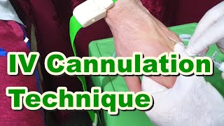 How to Insert IV Cannula  IV Cannulation Technique  Branula  Intravenous Catheter [upl. by Shanna]