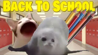 Bouncing Seals Back To School [upl. by Eiramyelhsa]