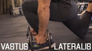 How To Grow Your Outer Quads  Vastus Lateralis Exercies “Quad Sweep” [upl. by Romo]