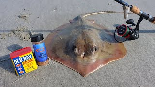 CATCH AND COOK STINGRAY TASTY OR GROSS [upl. by Nari]