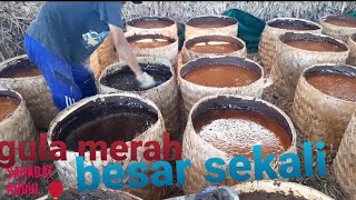 pembuatan gula merah tebu [upl. by Aimerej]